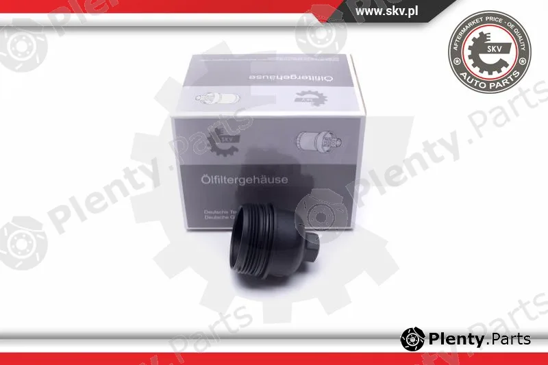 Esen SKV 31SKV187 — Cap, oil filter housing