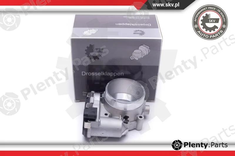 Esen SKV 12SKV109 — Throttle Body