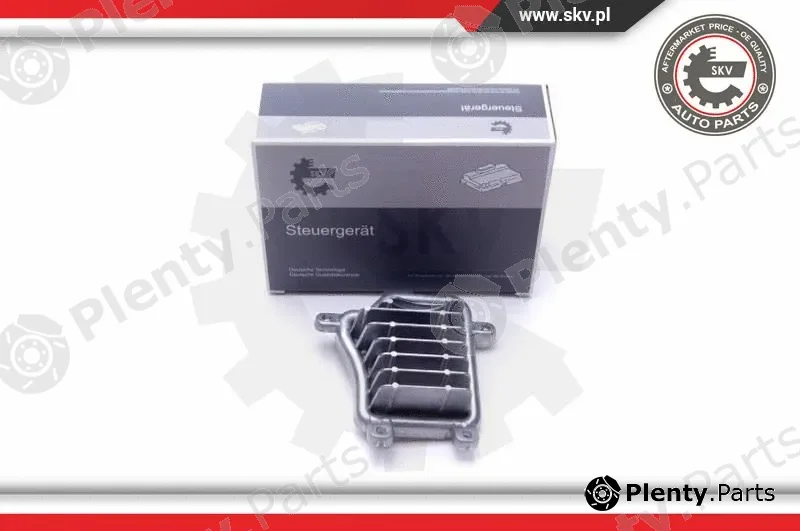 Esen SKV 59SKV034 — Control Unit, lights