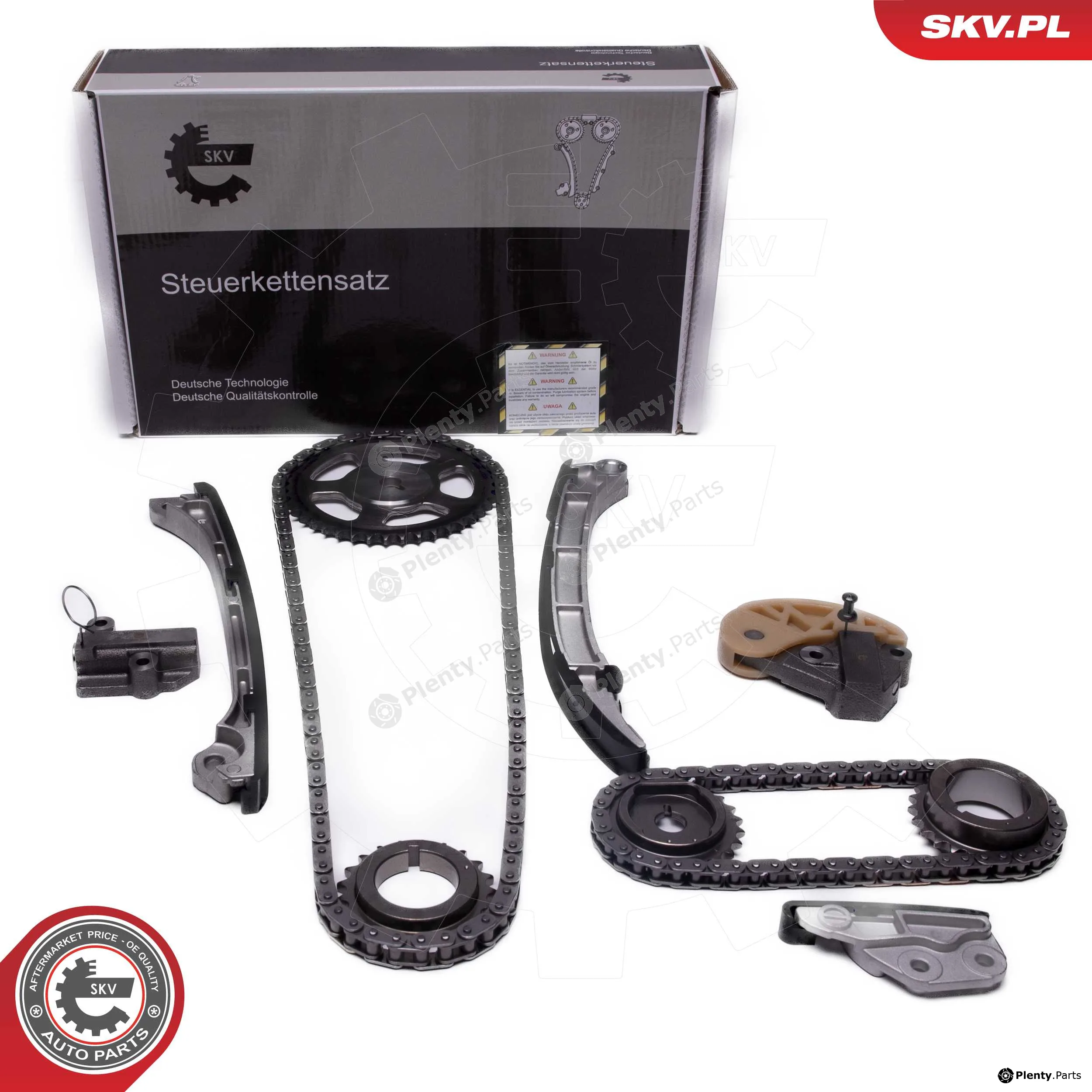 Esen SKV 21SKV250 — Timing Chain Kit