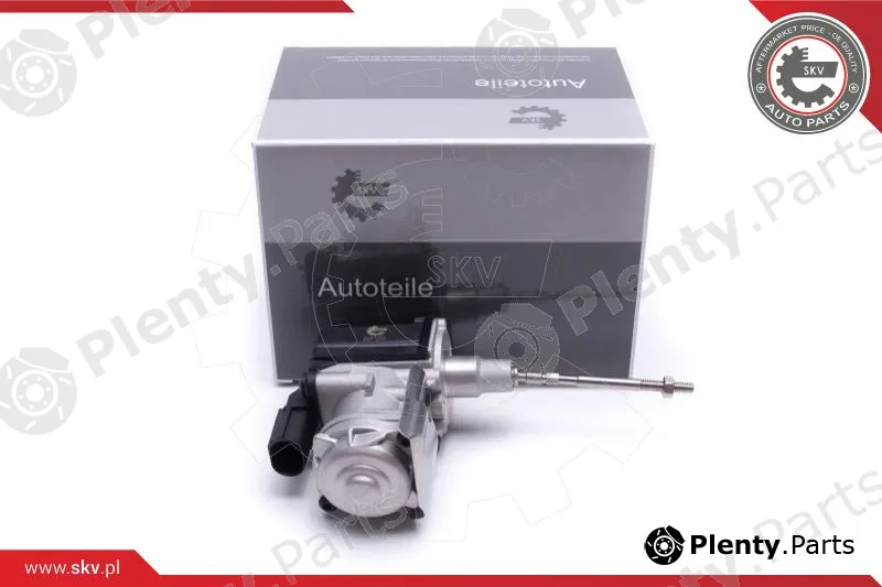Esen SKV 95SKV406 — Boost Pressure Control Valve