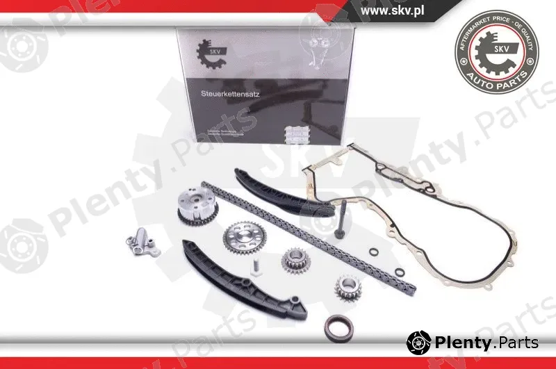 Esen SKV 21SKV235 — Timing Chain Kit