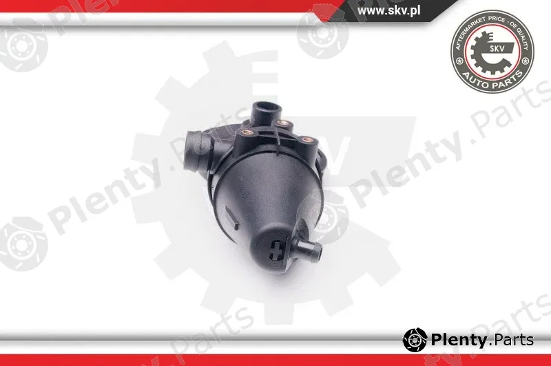 Esen SKV 31SKV039 — Repair Kit, crankcase ventilation