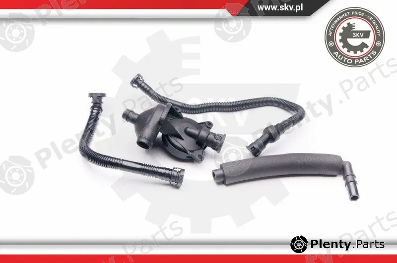 Esen SKV 31SKV042 — Repair Kit, crankcase ventilation