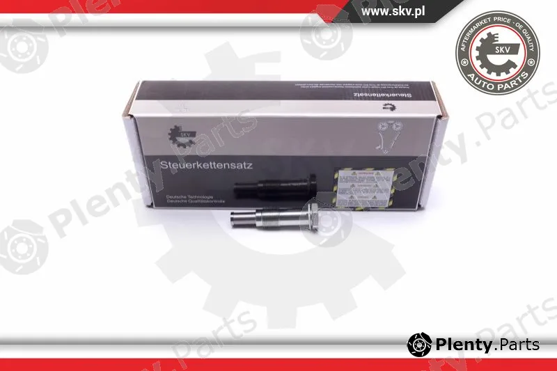 Esen SKV 21SKV072 — Tensioner, timing chain