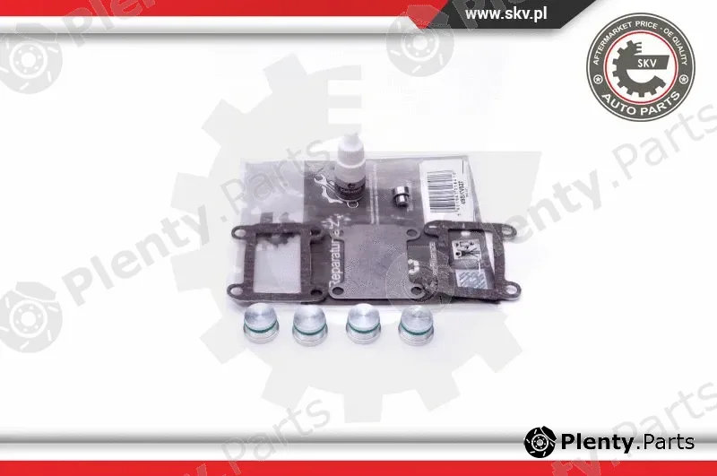 Esen SKV 49SKV527 — Repair Kit, intake manifold module