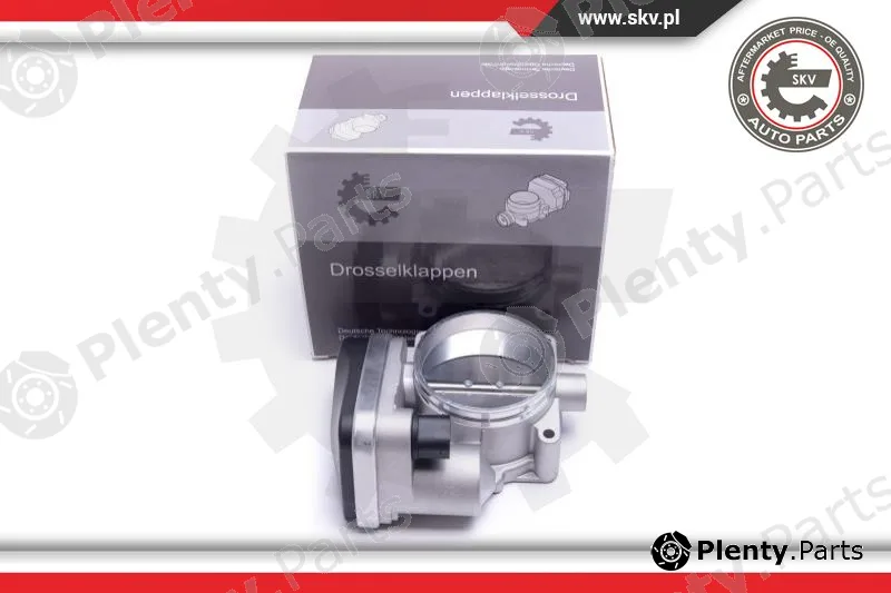 Esen SKV 12SKV121 — Throttle Body