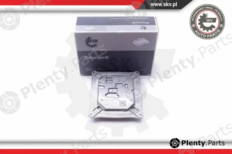 Esen SKV 59SKV072 — Control Unit, lights