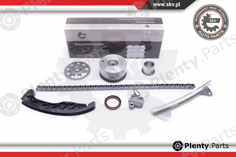 Esen SKV 21SKV229 — Timing Chain Kit