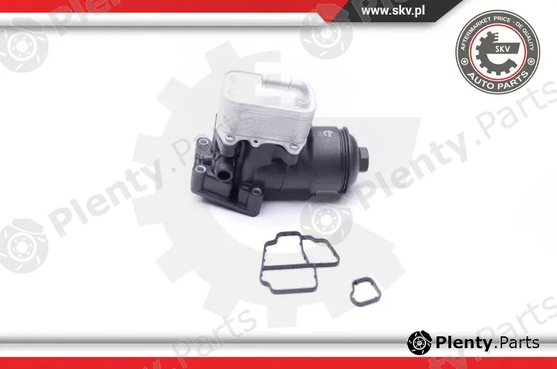 Esen SKV 31SKV055 — Housing, oil filter