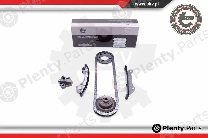Esen SKV 21SKV205 — Timing Chain Kit