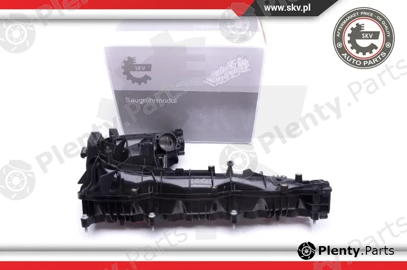 Esen SKV 49SKV019 — Intake Manifold Module