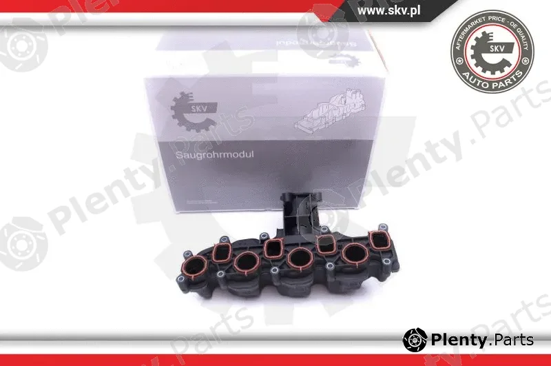 Esen SKV 49SKV008 — Intake Manifold Module