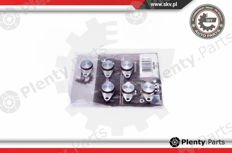Esen SKV 49SKV545 — Repair Kit, intake manifold module