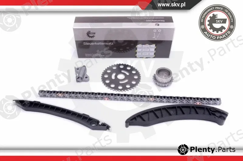Esen SKV 21SKV246 — Timing Chain Kit