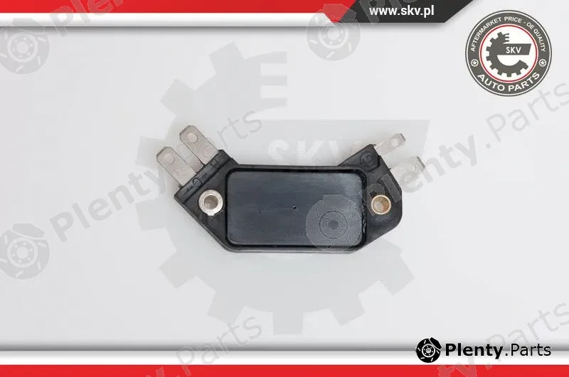 Esen SKV 03SKV905 — Ignition Coil