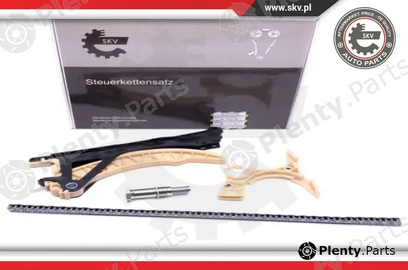 Esen SKV 21SKV179 — Timing Chain Kit