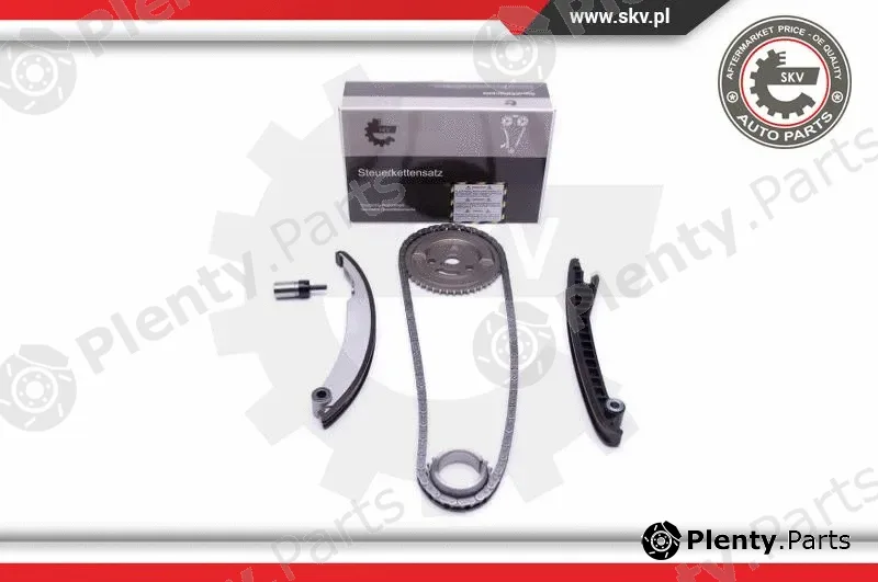 Esen SKV 21SKV113 — Timing Chain Kit