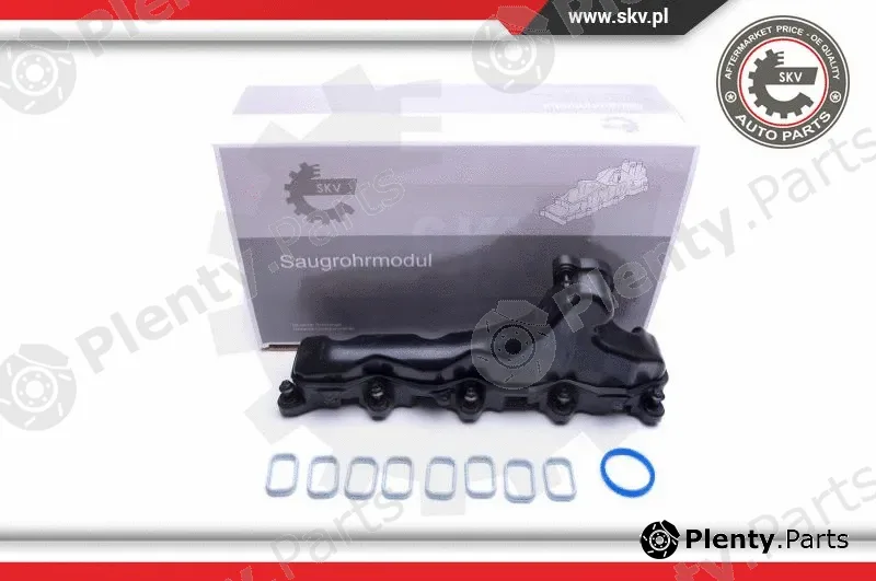 Esen SKV 49SKV032 — Intake Manifold Module