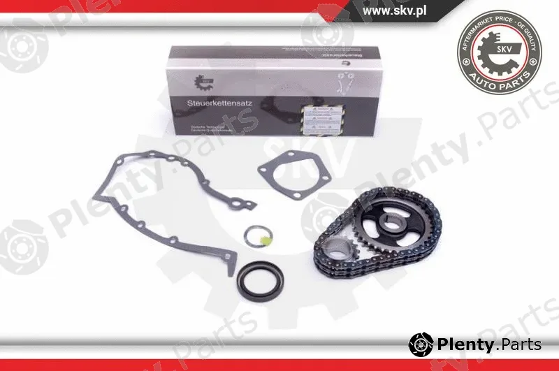 Esen SKV 21SKV218 — Timing Chain Kit