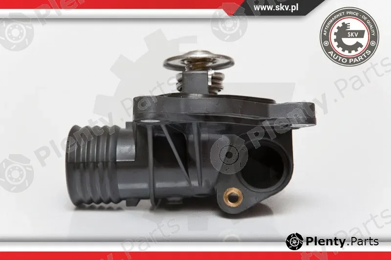 Esen SKV 20SKV001 — Thermostat, coolant
