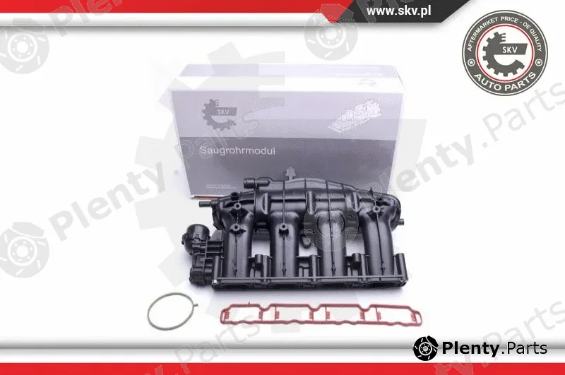 Esen SKV 49SKV028 — Intake Manifold Module