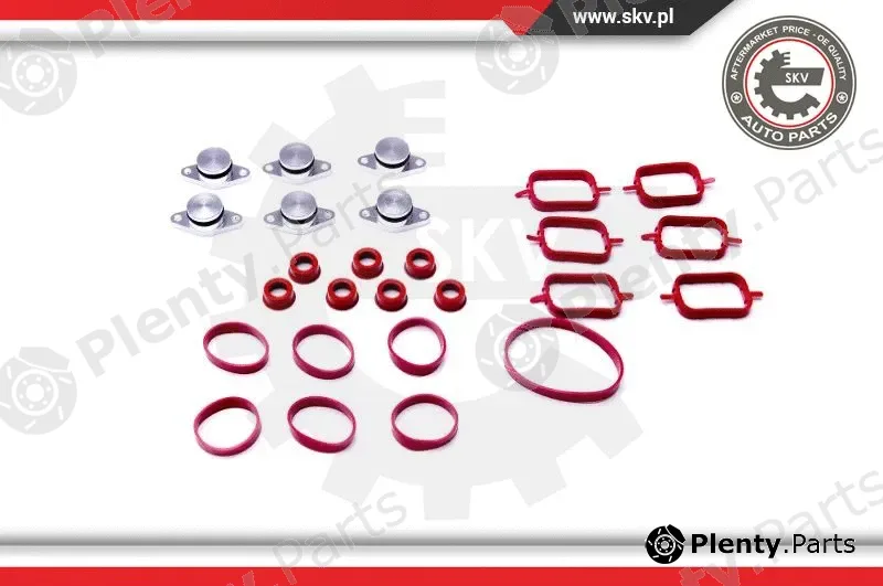 Esen SKV 96SKV052 — Gasket Set, intake manifold