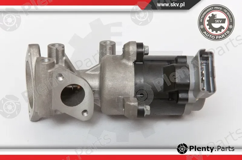 Esen SKV 14SKV066 — EGR Valve