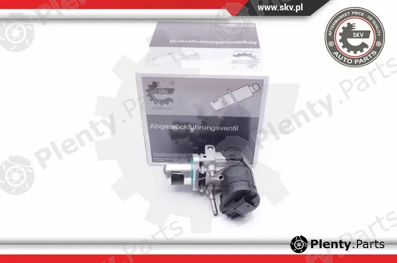 Esen SKV 14SKV169 — EGR Valve