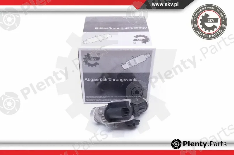 Esen SKV 14SKV185 — EGR Valve