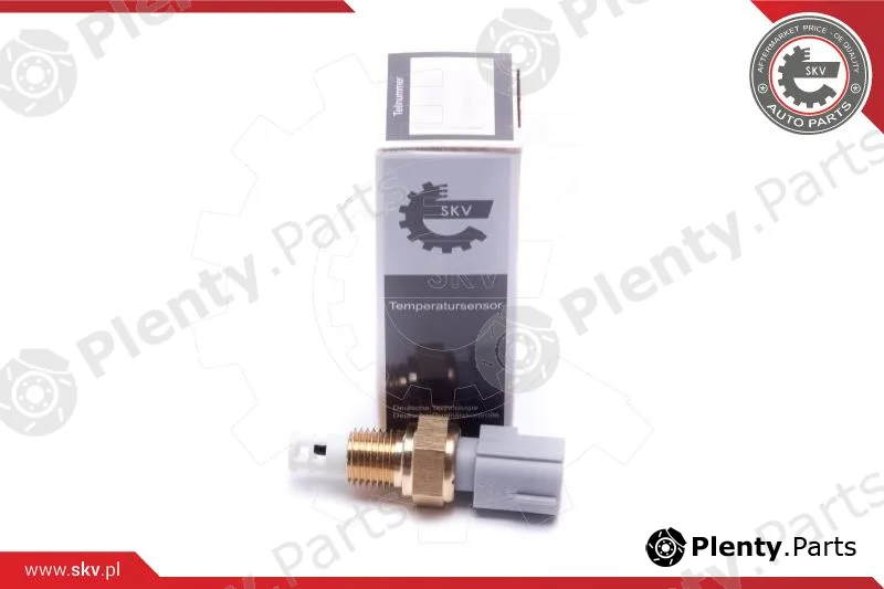 Esen SKV 17SKV684 — Sensor, intake air temperature