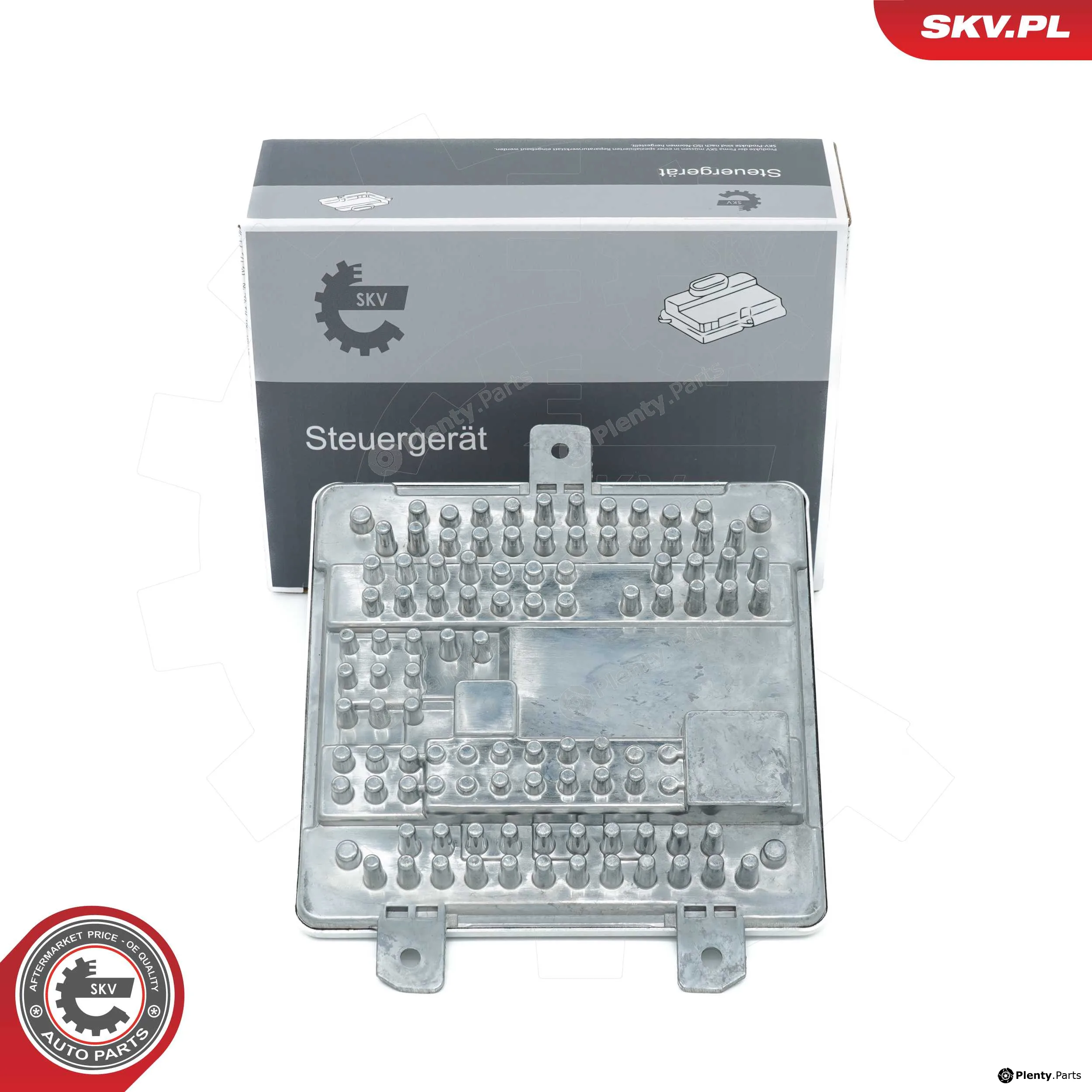 Esen SKV 59SKV193 — Control Unit, lights
