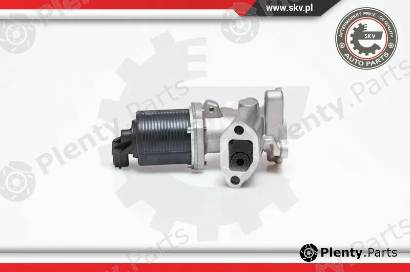 Esen SKV 14SKV040 — EGR Valve