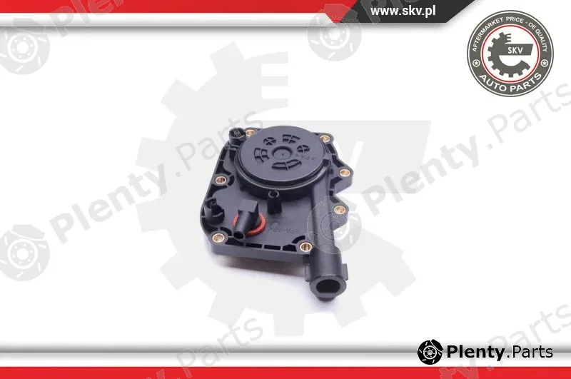 Esen SKV 31SKV103 — Repair Kit, crankcase ventilation