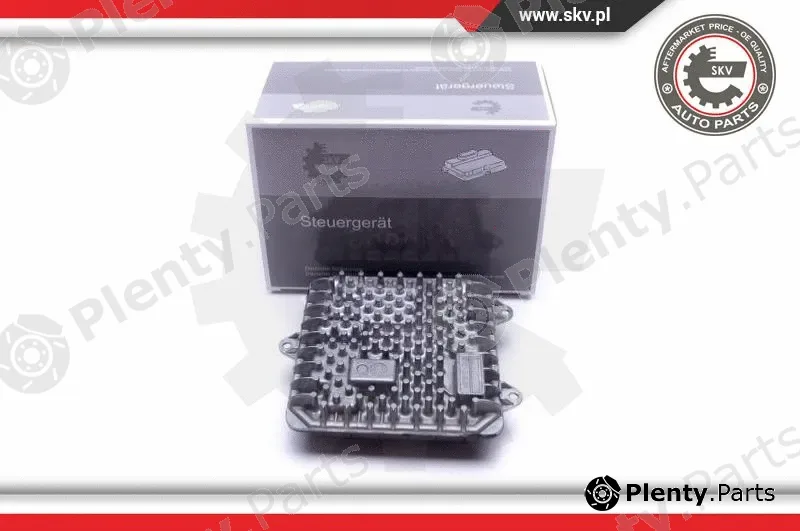 Esen SKV 59SKV009 — Control Unit, lights