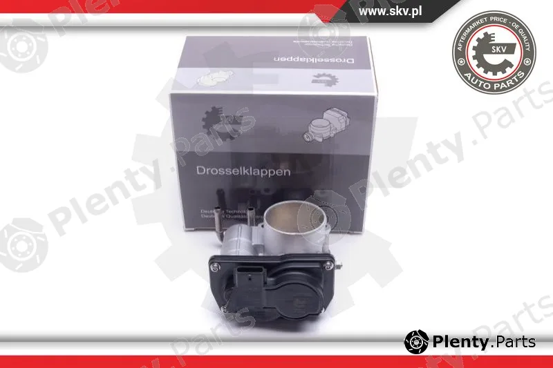 Esen SKV 12SKV110 — Throttle Body