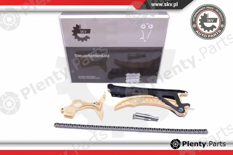 Esen SKV 21SKV146 — Timing Chain Kit