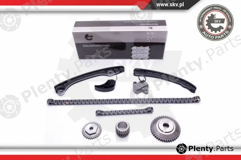 Esen SKV 21SKV248 — Timing Chain Kit