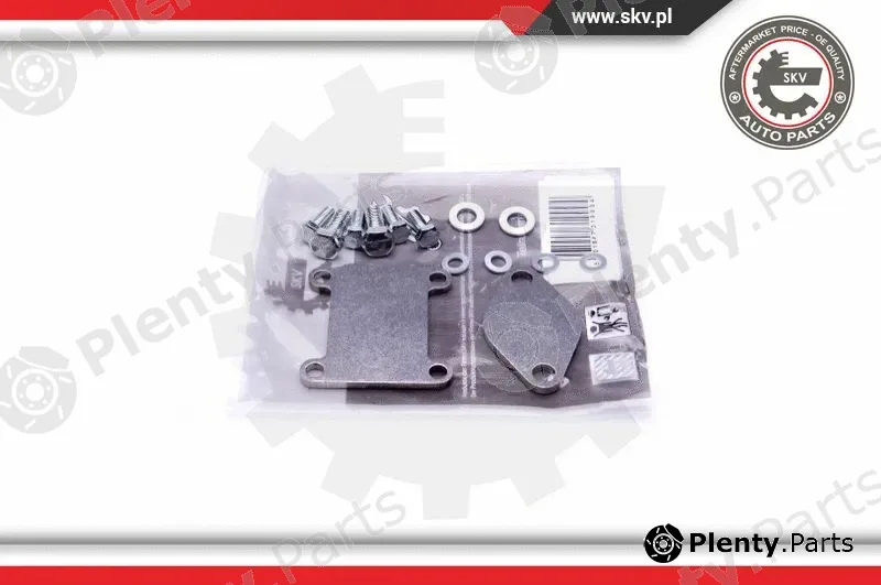 Esen SKV 14SKV502 — Repair Set, EGR valve