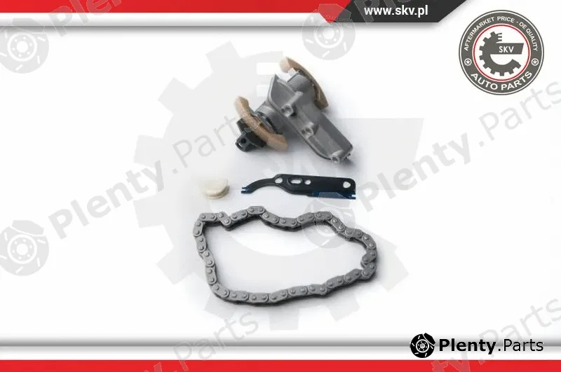 Esen SKV 21SKV010 — Timing Chain Kit