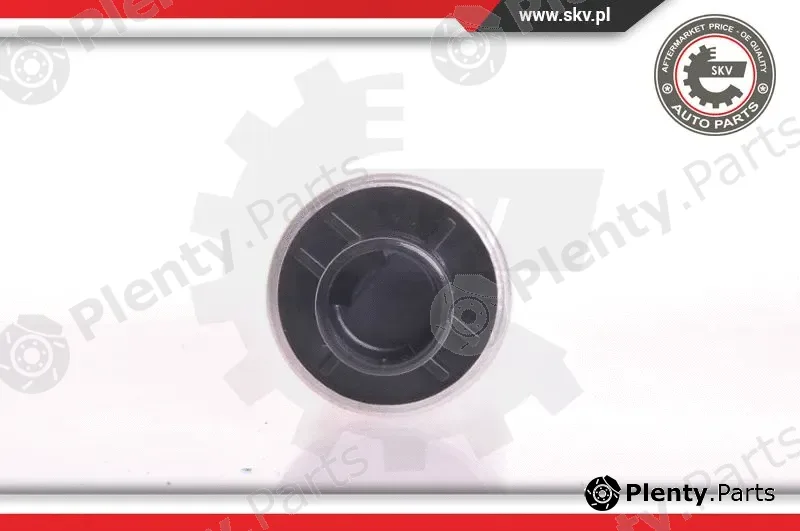Esen SKV 02SKV210 — Fuel Pump