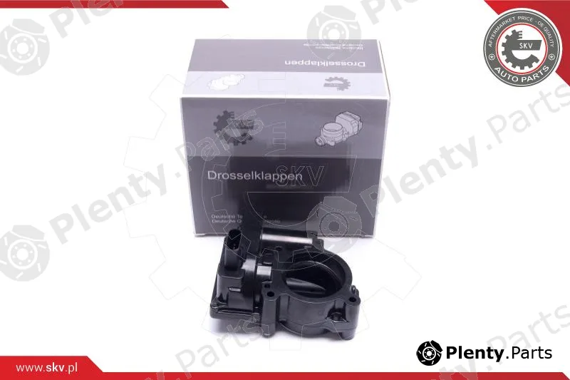Esen SKV 12SKV107 — Throttle Body