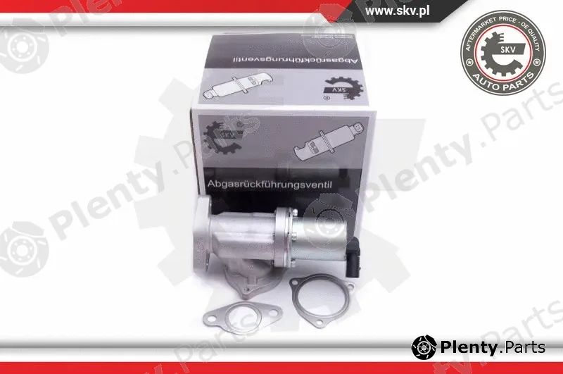 Esen SKV 14SKV209 — EGR Valve