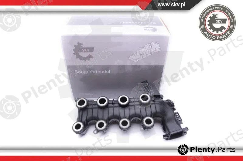 Esen SKV 49SKV022 — Intake Manifold Module