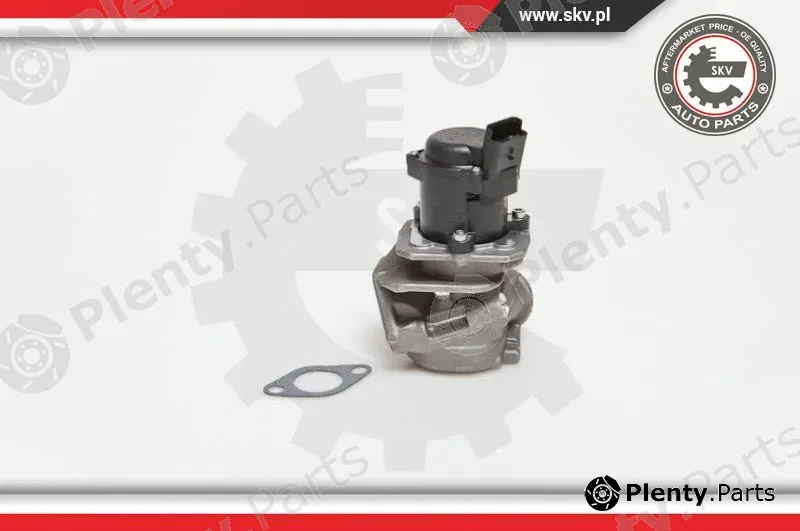 Esen SKV 14SKV027 — EGR Valve