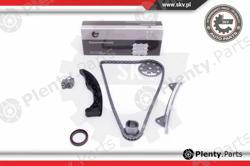 Esen SKV 21SKV228 — Timing Chain Kit