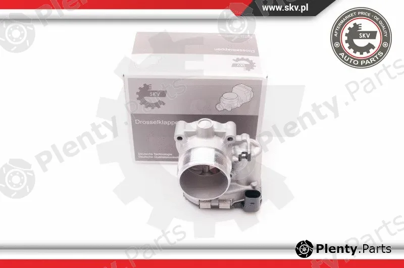 Esen SKV 12SKV068 — Throttle Body