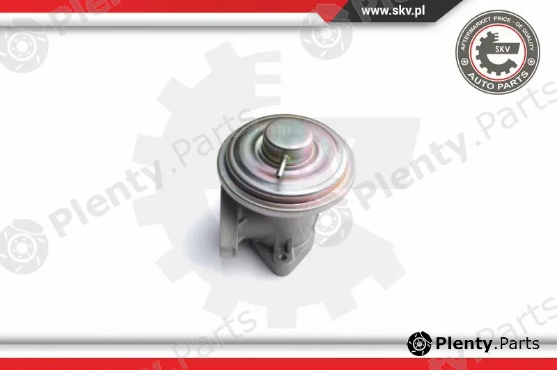 Esen SKV 14SKV098 — EGR Valve