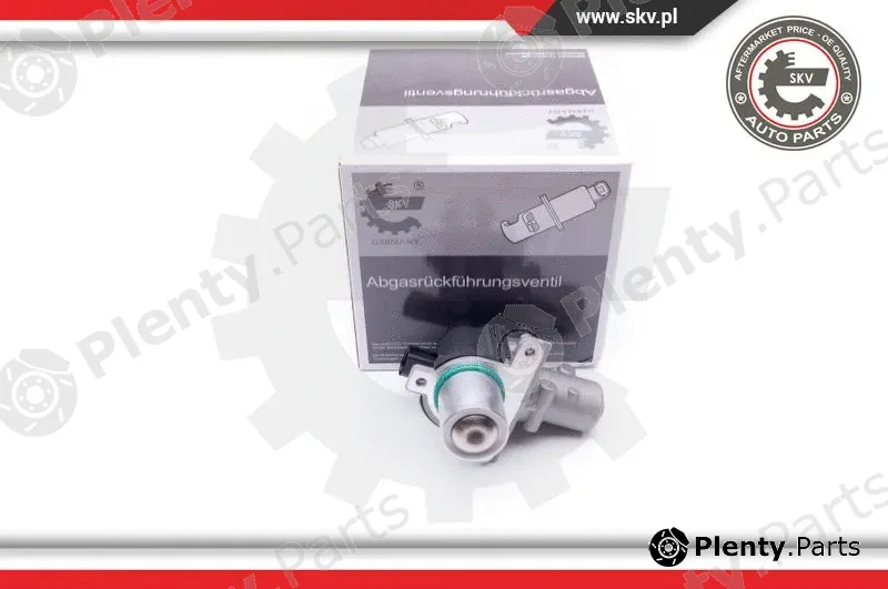 Esen SKV 14SKV163 — EGR Valve