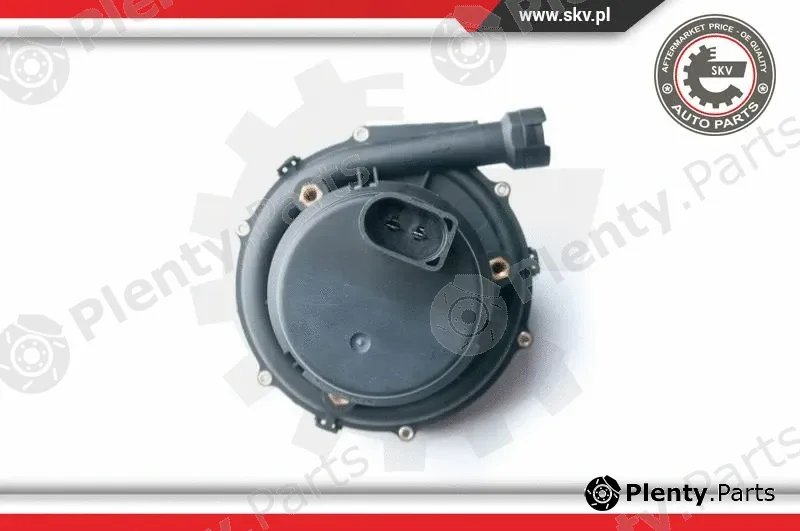 Esen SKV 96SKV201 — Secondary Air Pump